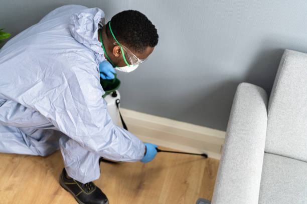 Real Estate Pest Inspections in Alma, MI